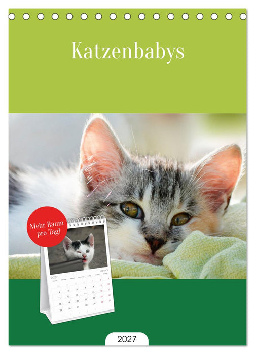 Katzenbabys (CALVENDO Tischplaner A5H 2027)