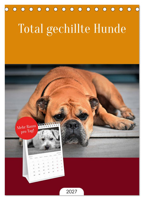 Total gechillte Hunde (CALVENDO Tischplaner A5H 2027)