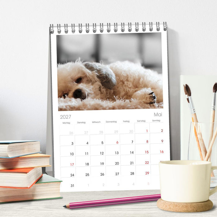 Total gechillte Hunde (CALVENDO Tischplaner A5H 2027)