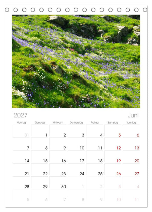 Cornwall im Frühling (CALVENDO Tischplaner A5H 2027)