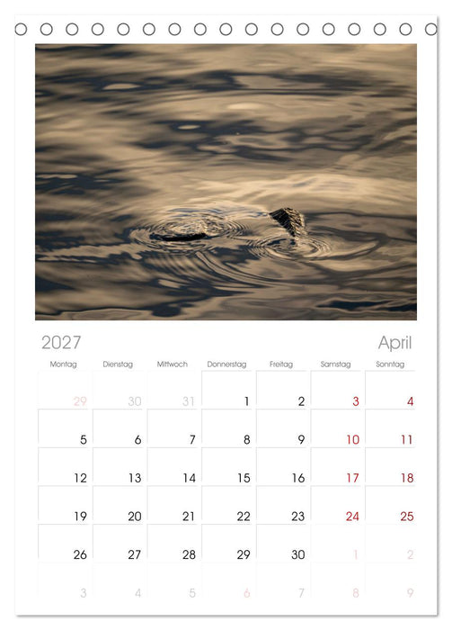 Wasserzauber (CALVENDO Tischplaner A5H 2027)