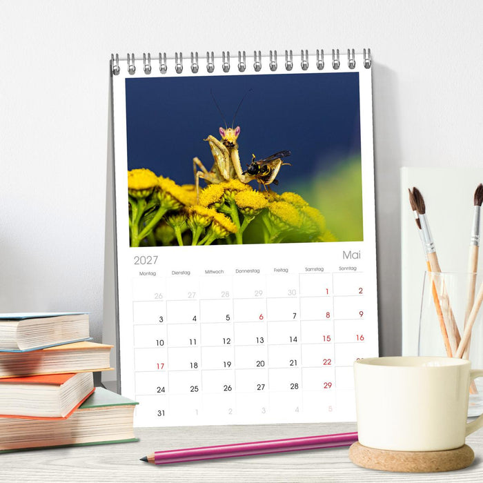 Im Bann der Mantis (CALVENDO Tischplaner A5H 2027)