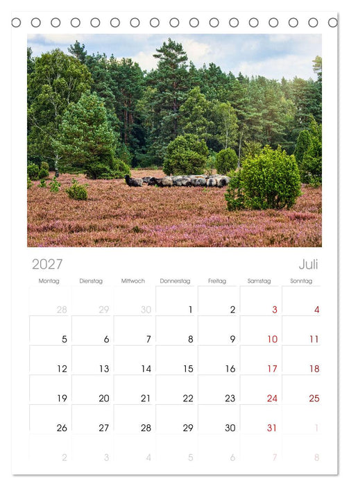 Lüneburger Südheide (CALVENDO Tischplaner A5H 2027)