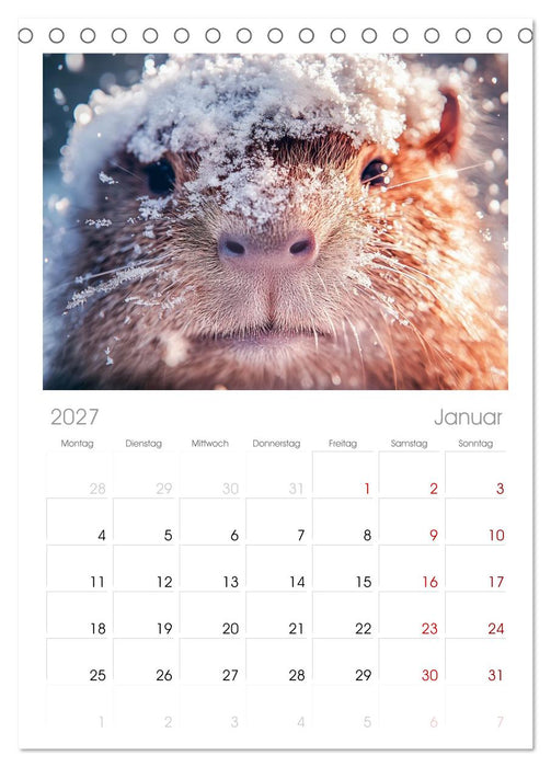 Capybara Zeit (CALVENDO Tischplaner A5H 2027)