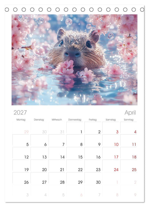 Capybara Zeit (CALVENDO Tischplaner A5H 2027)