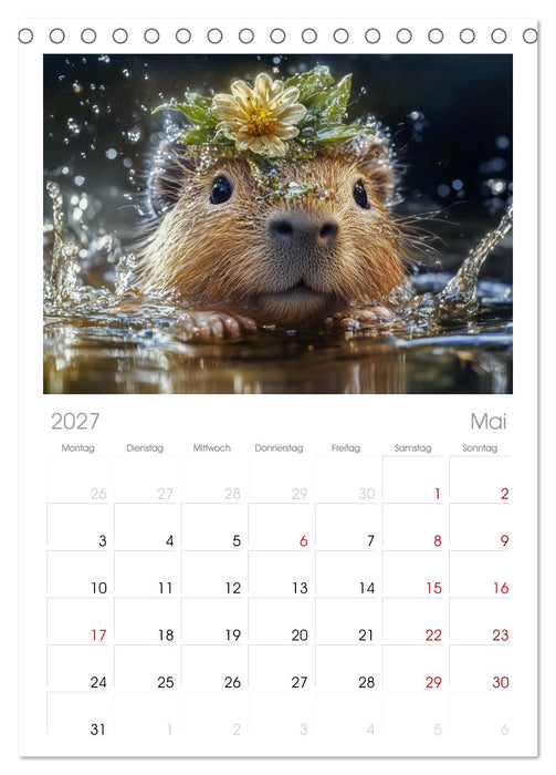 Capybara Zeit (CALVENDO Tischplaner A5H 2027)