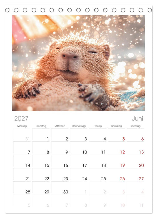 Capybara Zeit (CALVENDO Tischplaner A5H 2027)