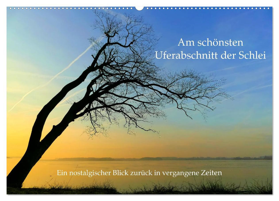 Am schönsten Uferabschnitt der Schlei (CALVENDO Wandkalender 2027)