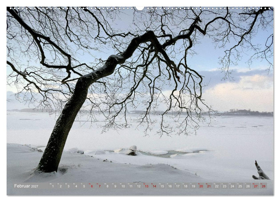 Am schönsten Uferabschnitt der Schlei (CALVENDO Wandkalender 2027)