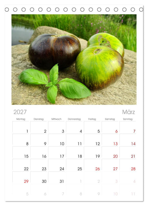 Tomaten Satt (CALVENDO Tischplaner A5H 2027)