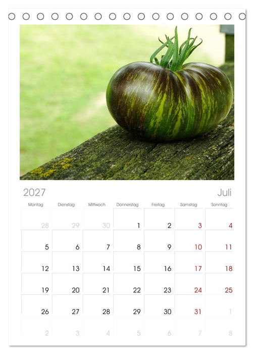 Tomaten Satt (CALVENDO Tischplaner A5H 2027)