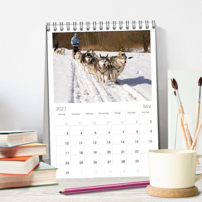 Huskies! (CALVENDO Tischplaner A5H 2027)