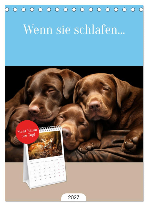 Wenn sie schlafen... (CALVENDO Tischplaner A5H 2027)