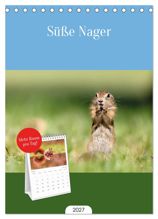 Süße Nager (CALVENDO Tischplaner A5H 2027)