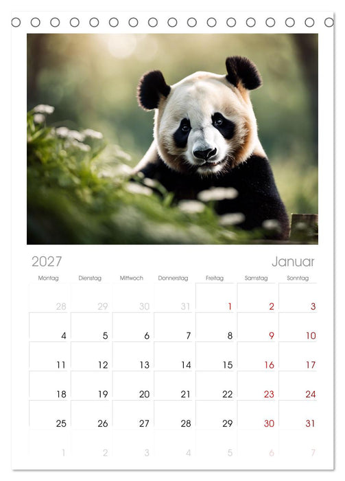Großer Pandabär (CALVENDO Tischplaner A5H 2027)