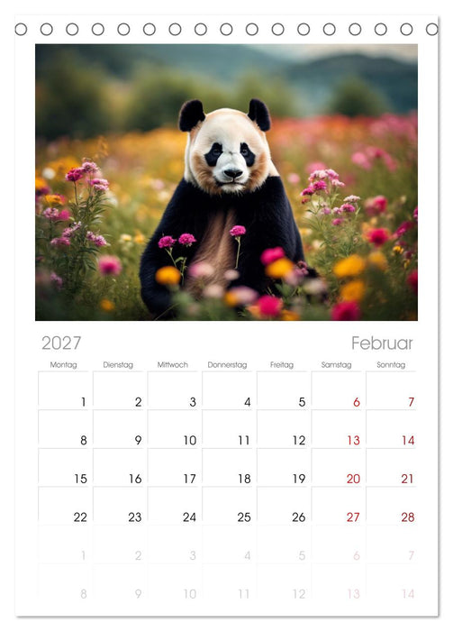 Großer Pandabär (CALVENDO Tischplaner A5H 2027)