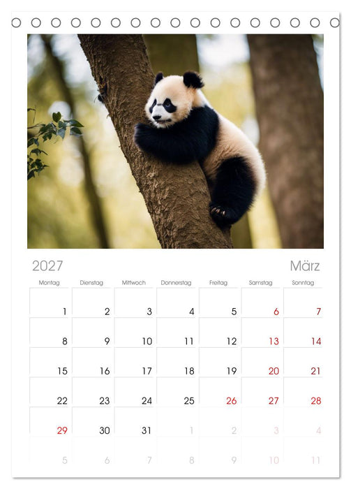 Großer Pandabär (CALVENDO Tischplaner A5H 2027)