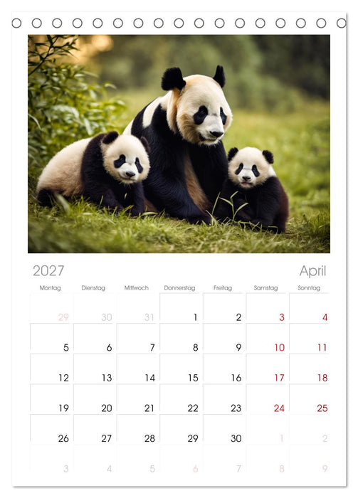 Großer Pandabär (CALVENDO Tischplaner A5H 2027)