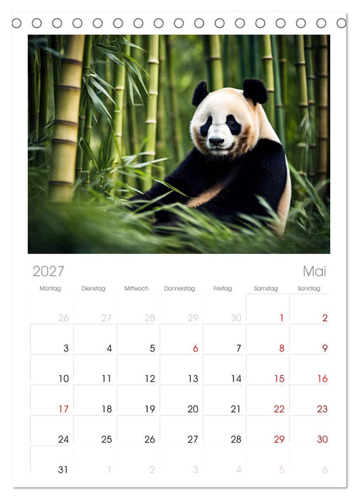 Großer Pandabär (CALVENDO Tischplaner A5H 2027)