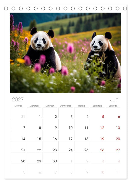 Großer Pandabär (CALVENDO Tischplaner A5H 2027)