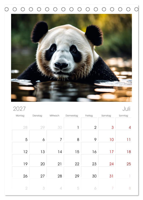 Großer Pandabär (CALVENDO Tischplaner A5H 2027)