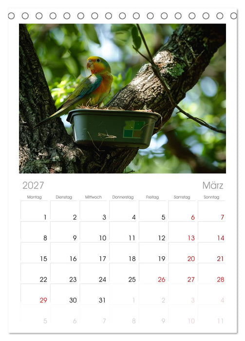 Der Geocaching Found it Kalender (CALVENDO Tischplaner A5H 2027)
