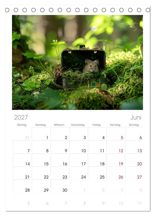 Der Geocaching Found it Kalender (CALVENDO Tischplaner A5H 2027)