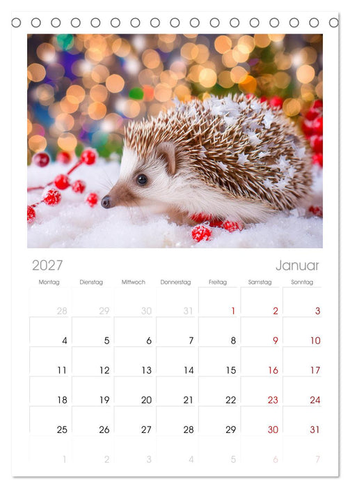Mein Igel-Kalender (CALVENDO Tischplaner A5H 2027)