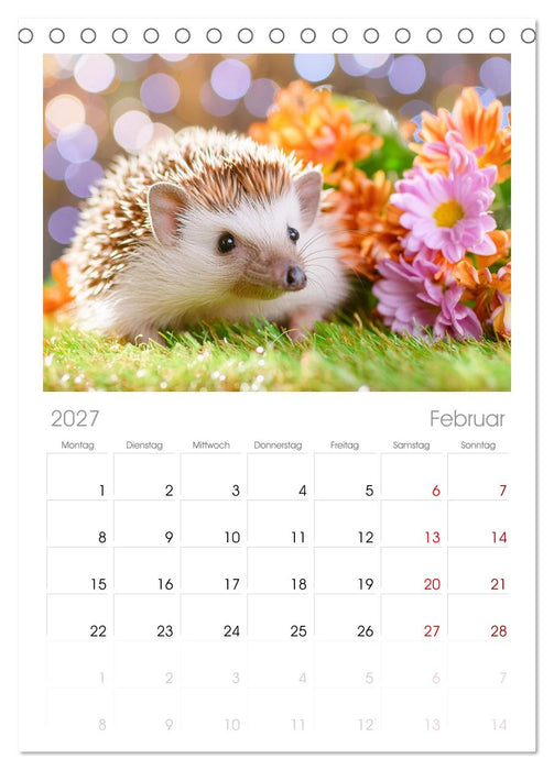 Mein Igel-Kalender (CALVENDO Tischplaner A5H 2027)
