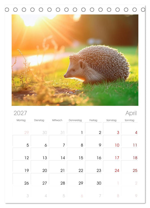Mein Igel-Kalender (CALVENDO Tischplaner A5H 2027)