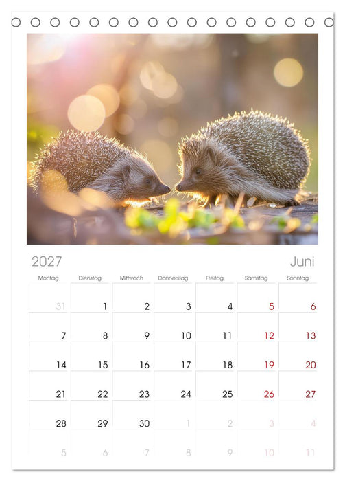 Mein Igel-Kalender (CALVENDO Tischplaner A5H 2027)