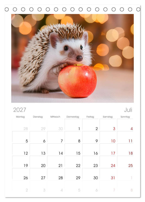 Mein Igel-Kalender (CALVENDO Tischplaner A5H 2027)