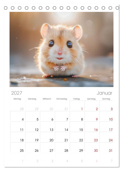 Lustige Hamster (CALVENDO Tischplaner A5H 2027)