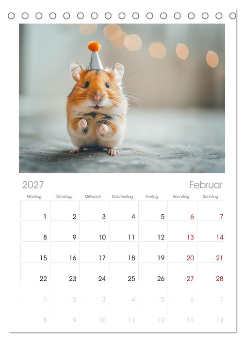 Lustige Hamster (CALVENDO Tischplaner A5H 2027)