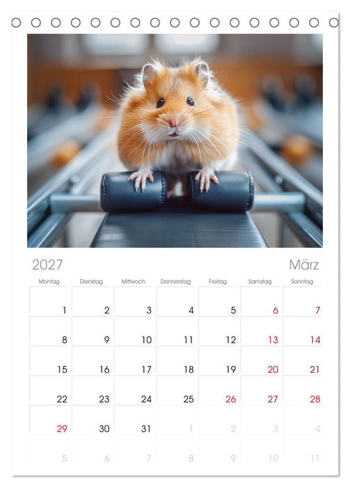 Lustige Hamster (CALVENDO Tischplaner A5H 2027)
