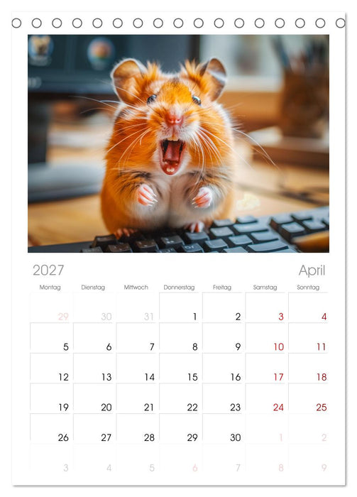 Lustige Hamster (CALVENDO Tischplaner A5H 2027)