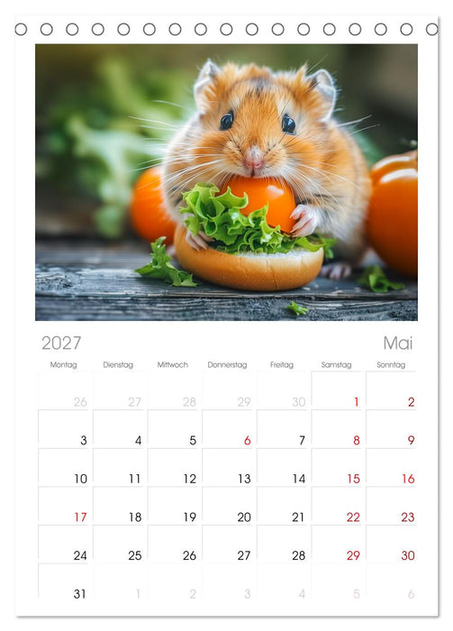 Lustige Hamster (CALVENDO Tischplaner A5H 2027)