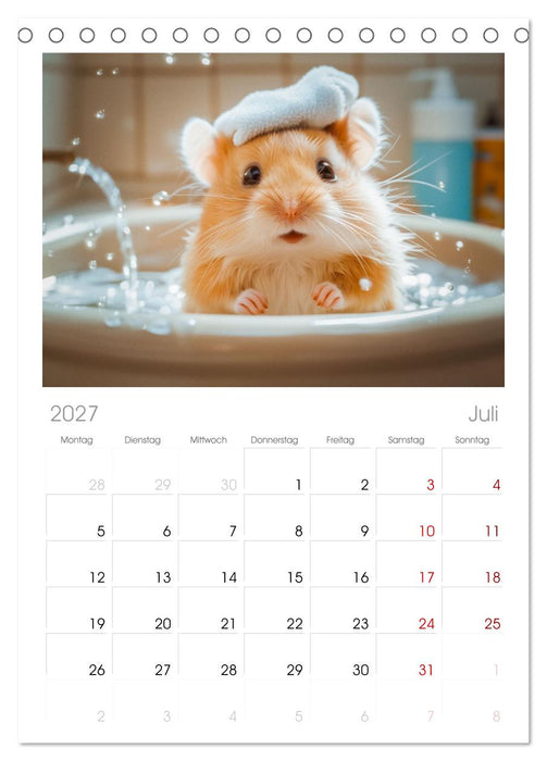 Lustige Hamster (CALVENDO Tischplaner A5H 2027)