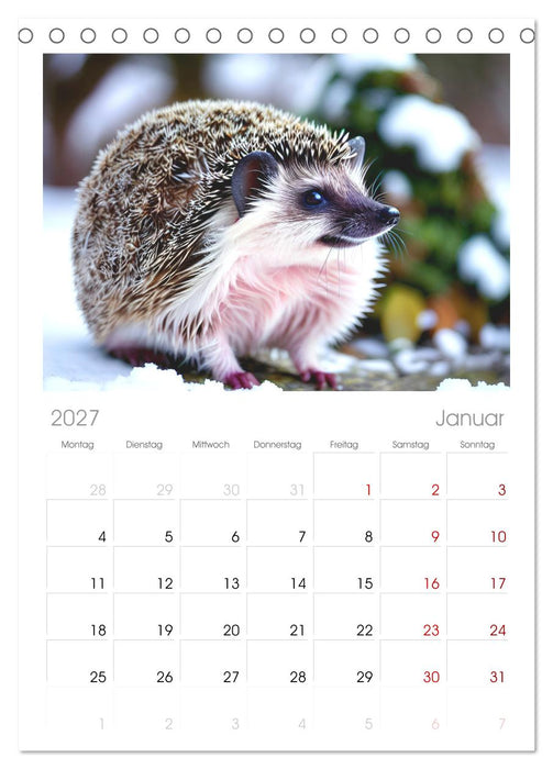 Niedliche Igel (CALVENDO Tischplaner A5H 2027)