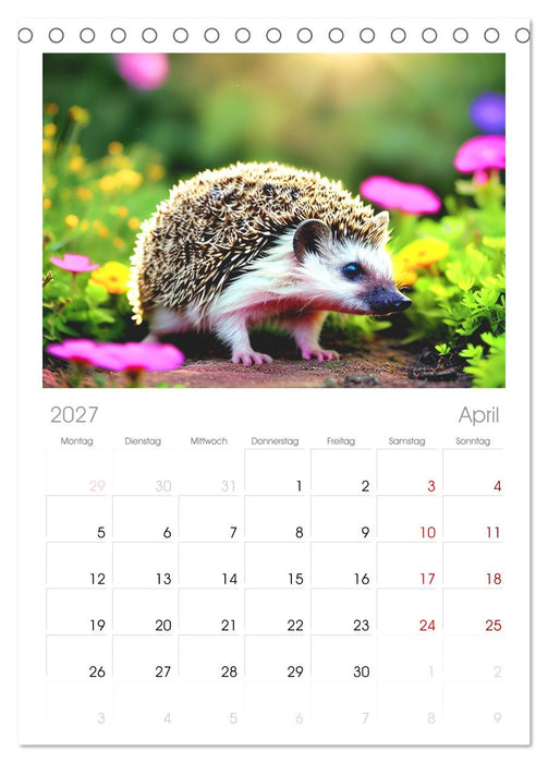Niedliche Igel (CALVENDO Tischplaner A5H 2027)