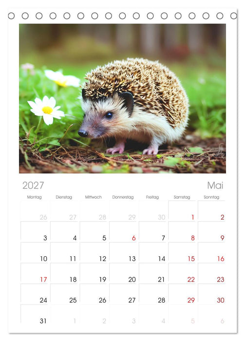 Niedliche Igel (CALVENDO Tischplaner A5H 2027)