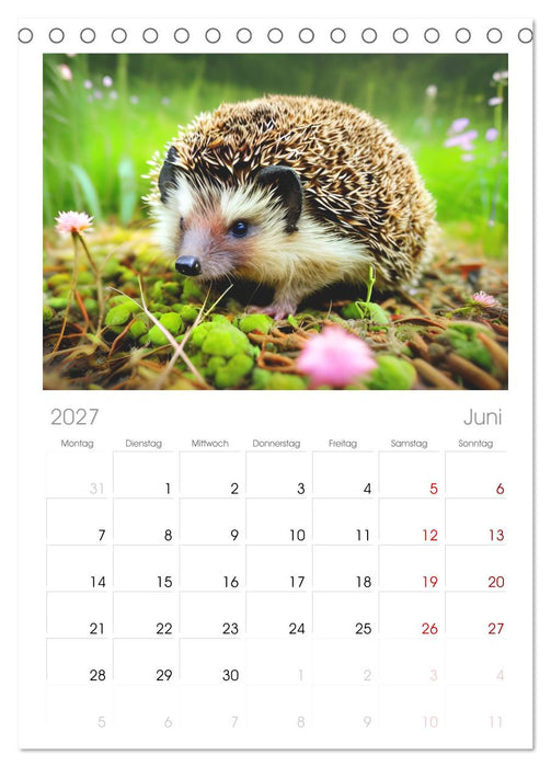 Niedliche Igel (CALVENDO Tischplaner A5H 2027)