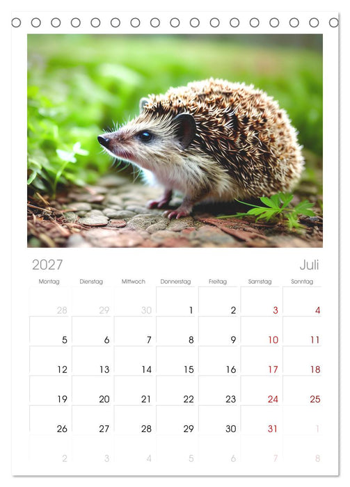 Niedliche Igel (CALVENDO Tischplaner A5H 2027)