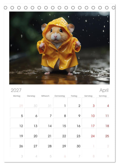 Hamstertage (CALVENDO Tischplaner A5H 2027)