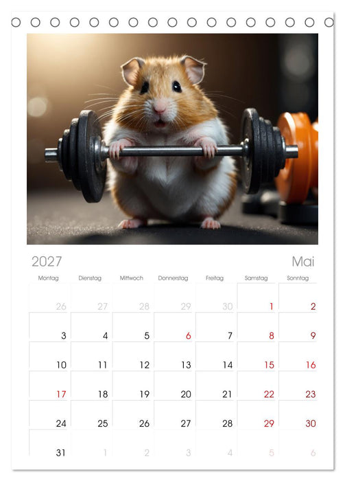 Hamstertage (CALVENDO Tischplaner A5H 2027)