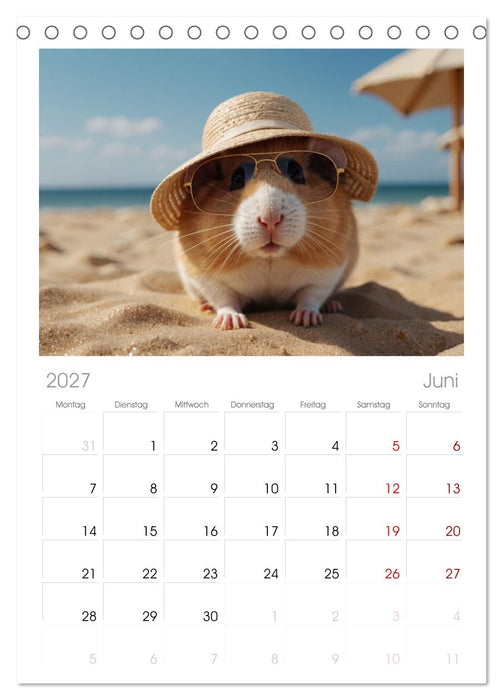 Hamstertage (CALVENDO Tischplaner A5H 2027)