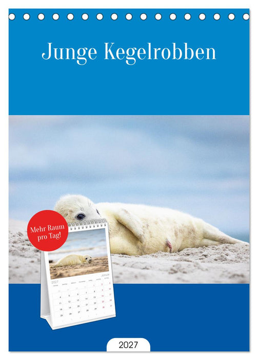 Junge Kegelrobben (CALVENDO Tischplaner A5H 2027)