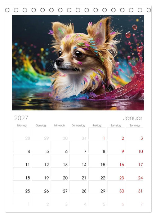 Splash - Hunde im Farbrausch (CALVENDO Tischplaner A5H 2027)