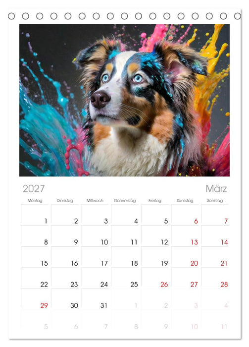 Splash - Hunde im Farbrausch (CALVENDO Tischplaner A5H 2027)