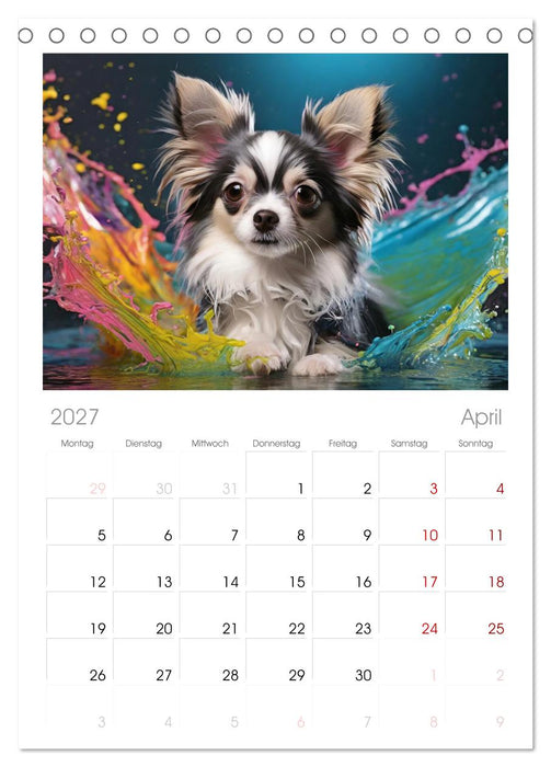 Splash - Hunde im Farbrausch (CALVENDO Tischplaner A5H 2027)